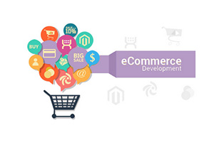 ecommerce development