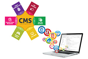 cms development