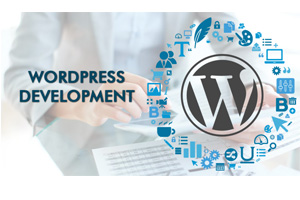 wordpress development